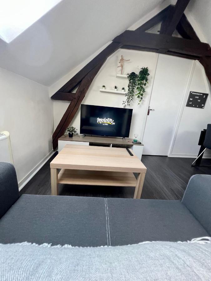 Bel Appartement Lumineux 35M2, Bord De Loire Saint-Jean-le-Blanc Esterno foto