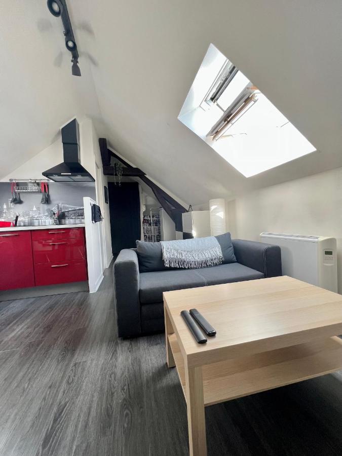 Bel Appartement Lumineux 35M2, Bord De Loire Saint-Jean-le-Blanc Esterno foto