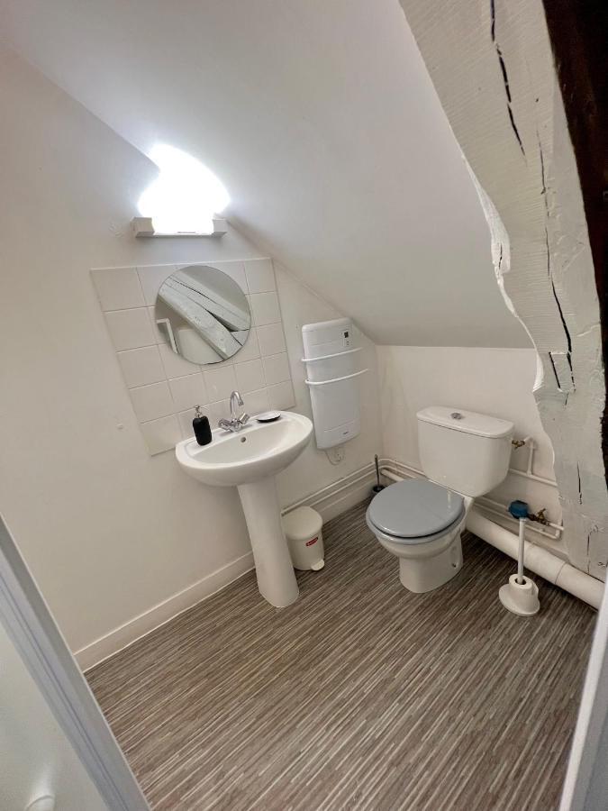 Bel Appartement Lumineux 35M2, Bord De Loire Saint-Jean-le-Blanc Esterno foto