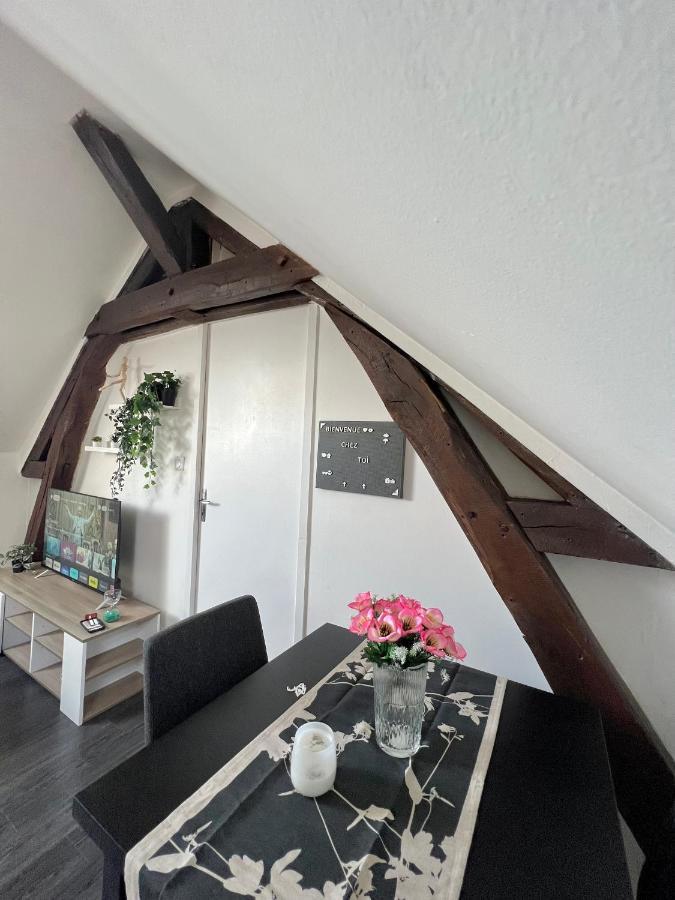 Bel Appartement Lumineux 35M2, Bord De Loire Saint-Jean-le-Blanc Esterno foto