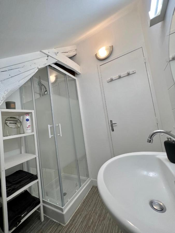 Bel Appartement Lumineux 35M2, Bord De Loire Saint-Jean-le-Blanc Esterno foto