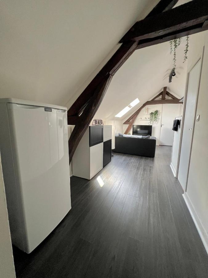 Bel Appartement Lumineux 35M2, Bord De Loire Saint-Jean-le-Blanc Esterno foto