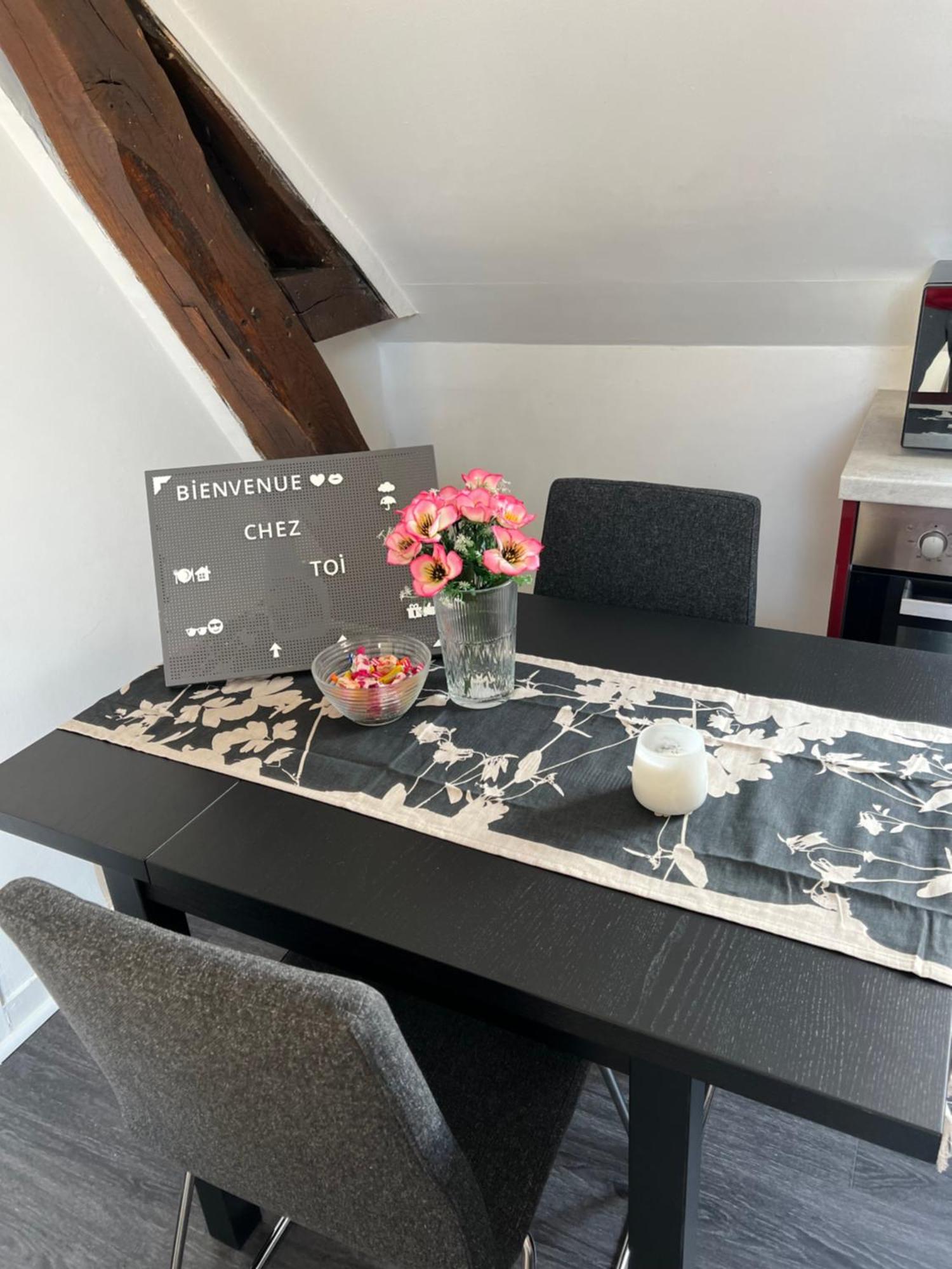 Bel Appartement Lumineux 35M2, Bord De Loire Saint-Jean-le-Blanc Esterno foto